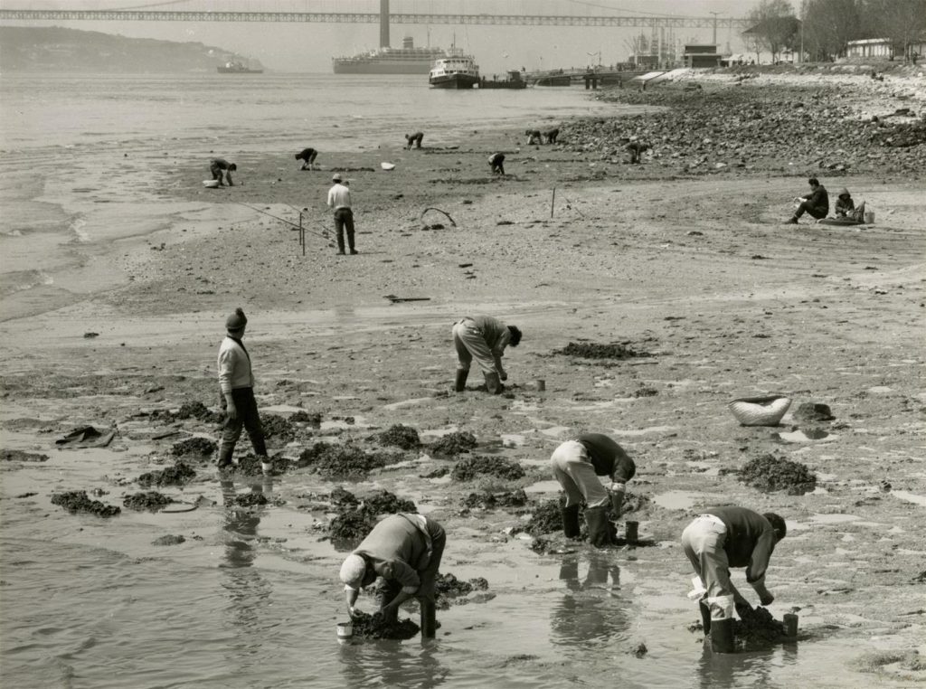 Crónicas de uma Lisboa Desconhecida