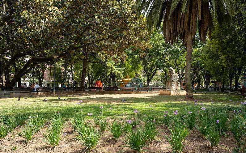 Jardim Constantina Sarah Adamopoulos