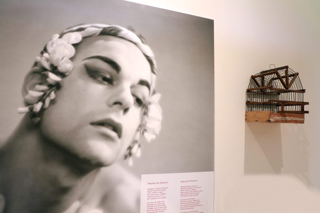 Dançar sobre a cidade Crónicas de um bailarino